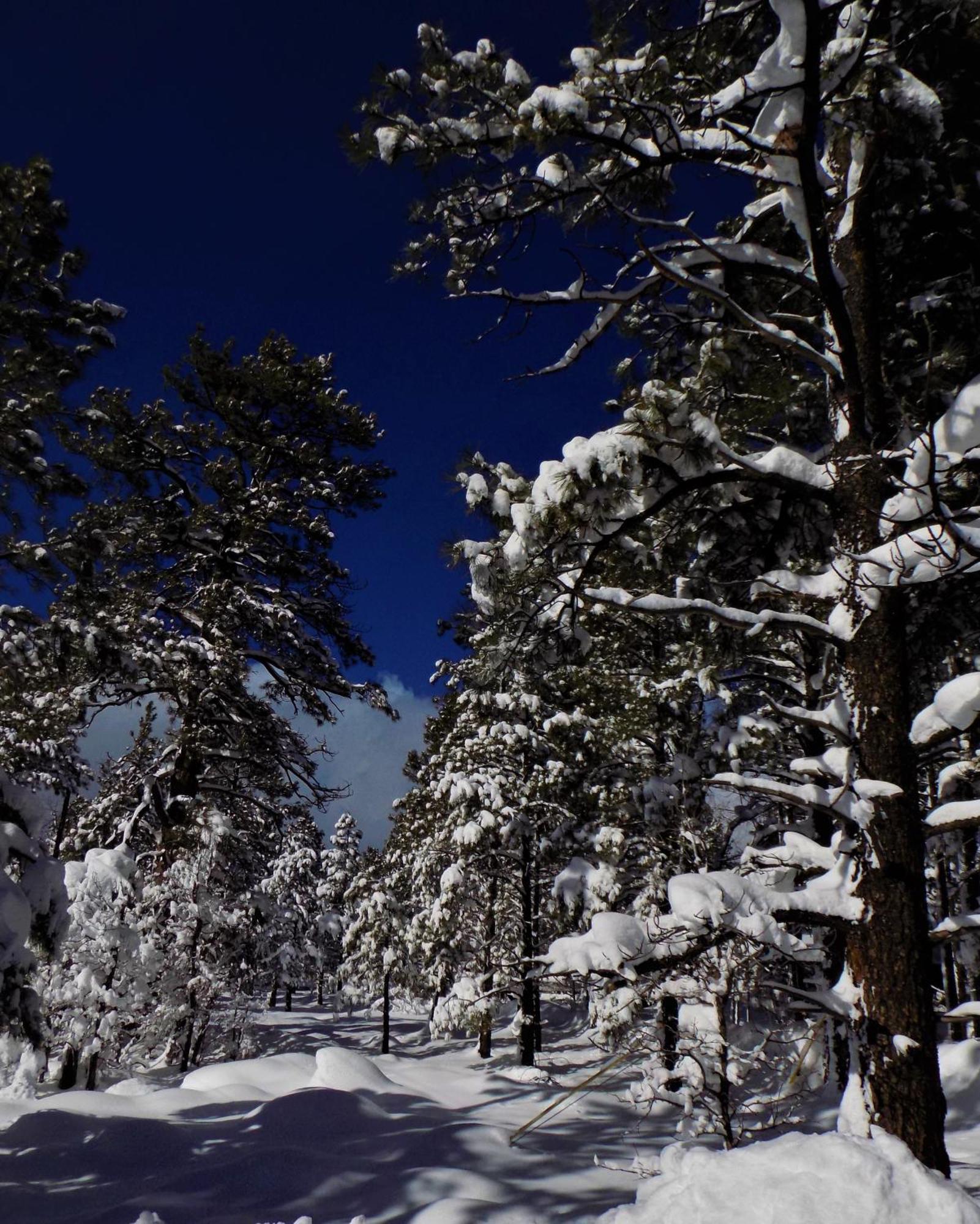 Holiday home Location! Nature Lovers Getaway - Close To Historic Downtown *