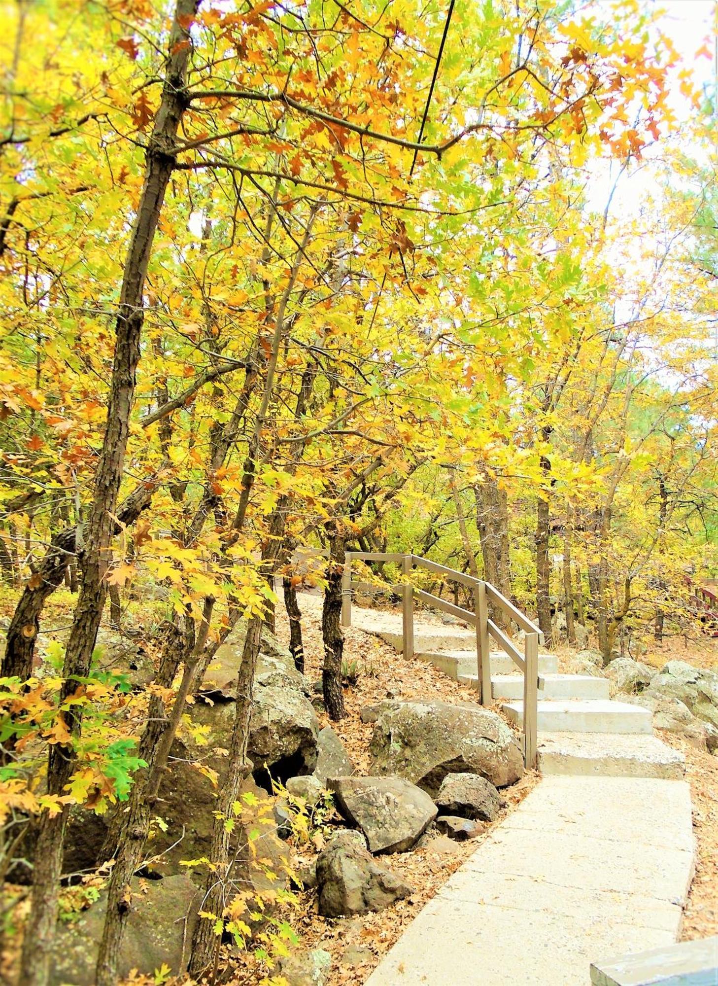 Location! Nature Lovers Getaway - Close To Historic Downtown Holiday home Flagstaff